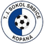 TJ Sokol Srbice logo