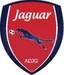 Jaguar PE U20 logo