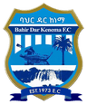 Bahir Dar Kenema FC logo