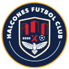 Halcones FC III logo - Nayarit VS Halcones Fc Iii Live Score Today