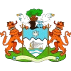 Freetown City logo - City VS Wilberforce Strikers Live