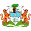 Freetown City logo