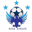 SCSA Eagles logo