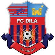 Dila Gori logo