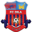 Dila Gori logo