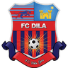 Dila Gori logo