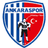 Ankaraspor FK logo - Tur Kupas 32084 Football Score