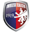 Imolese Calcio Youth logo