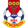 TeslaStropkov logo