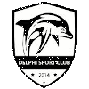 Delphi SC Women logo - Women VS Delphi Sc Women Live Score Today
