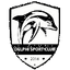 Delphi SC Women logo