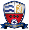 Nuneaton Borough logo