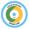 Rolim de Moura logo - Moura VS Porto Velho Ec Live