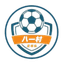 Shanghai Jinshanwei Bayi Village Football Team logo