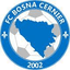 Bosna Neuchatel logo