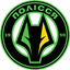 Polissya Zhytomyr logo