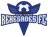 NY Renegades logo