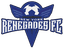 NY Renegades logo