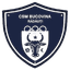 Bucovina Radauti logo