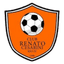 Renato Cesarini Rio IV logo