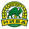 Nyva Ternopil logo