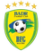 Badr logo