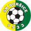 SK Borsice logo