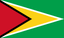 Guyana Women U17 logo