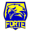 Forte FC Youth logo - Youth VS Sport Club Recife Youth Score