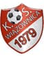 KS Wiazownica logo
