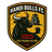 Ha Noi Bulls logo