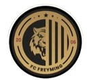 Freyming logo - Wittenheim VS Freyming Result Today
