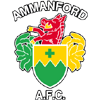 Ammanford logo - Caernarfon VS Ammanford Result