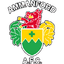Ammanford logo