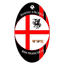 Nuevo Caceres SF logo