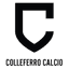 SSD Colleferro Calcio logo