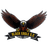 Sikkim Black Eagle logo - Ind Sikkim Sleague 33073 Sport