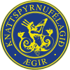 Selfoss Hamar Aegir Arborg U19 logo - U VS Fjolnir U Live Score