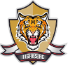 Tigres U19 logo - U VS Fortaleza Ceif U Score Today