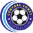 Central Coast Football Club logo - Auckland City Results