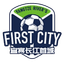 YIbin Team logo