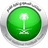 Saudi Arabia U15 logo