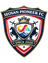 Seosan Pioneer FC logo