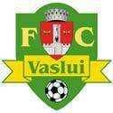 Vaslui logo - Vaslui VS Cs Soimii Lipova Score