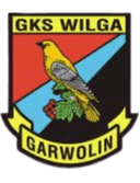 Wilga Garwolin logo - Bialobrzegi VS Wilga Garwolin Score Today