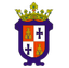 CD Illescas logo