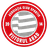 ACS Viitorul Arad logo