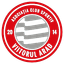 ACS Viitorul Arad logo