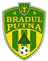 Bradul Putna logo