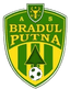 Bradul Putna logo - Rom Cup 32032 Live Football